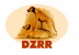 DZRR Logo